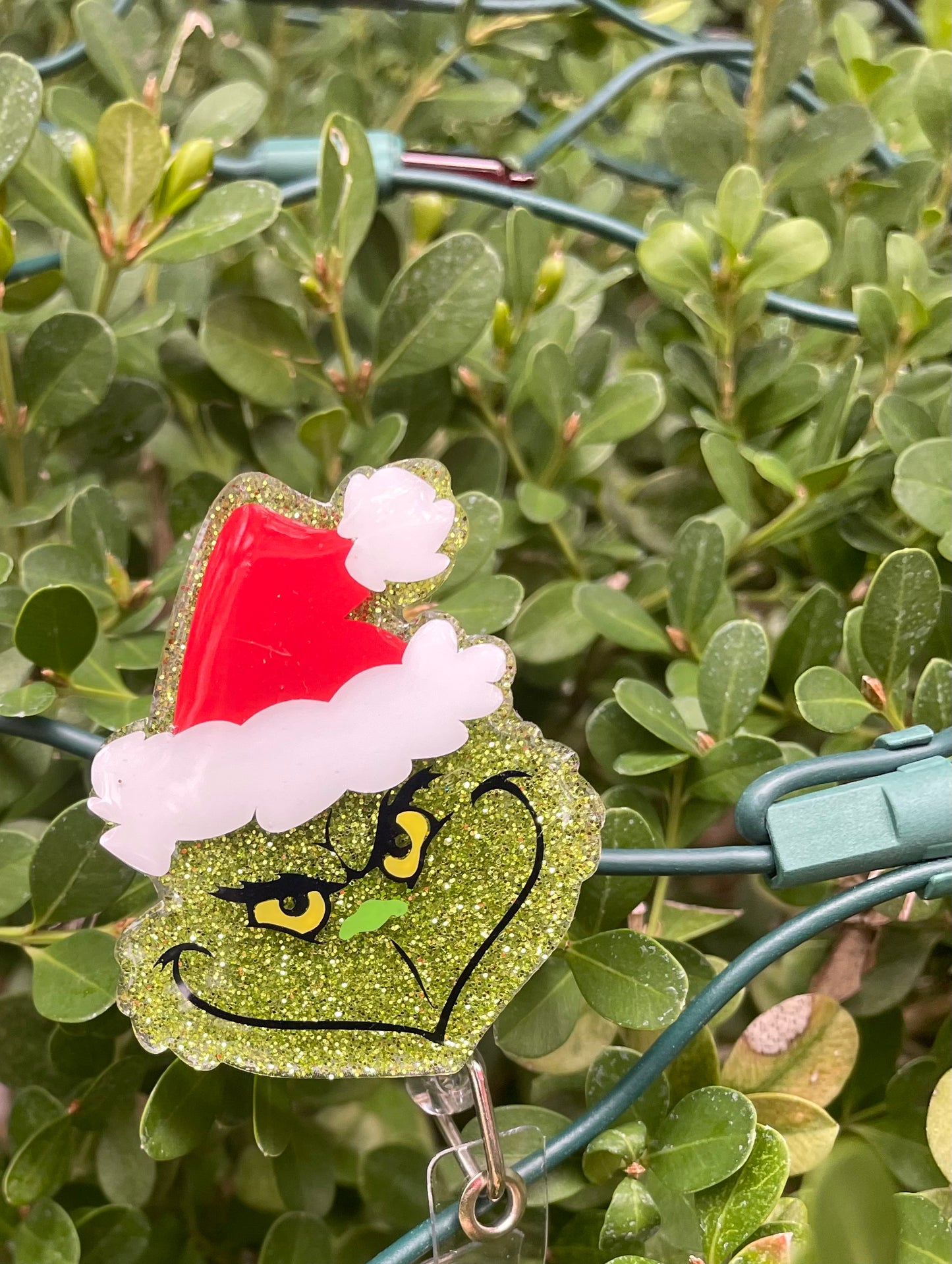 Christmas Grinch